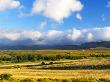 Rural Scene Near Oudtshoorn, South Africa by Roger De La Harpe Limited Edition Pricing Art Print