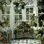 Interior Of Conservatory Large Ceramic Pot, Wrought Iron Plant Stand, Ficus, Surrey by Clive Boursnell Limited Edition Print