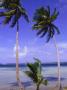 Palm Trees, Bora Bora, Tahiti by Scott Christopher Limited Edition Pricing Art Print