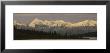 Moose Standing On A Frozen Lake, Wonder Lake, Denali National Park, Alaska, Usa by Panoramic Images Limited Edition Print