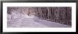 Bare Trees Along A Snow Covered Road, Crystal Downs, Michigan, Usa by Panoramic Images Limited Edition Print