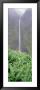 Water Flowing From A Waterfall, Akaka Falls, Hamakua Coast, Hawaii, Usa by Panoramic Images Limited Edition Print