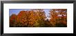 Fall Trees, Vermont, Usa by Panoramic Images Limited Edition Pricing Art Print
