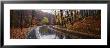Rainy Road In Autumn, Euclid Creek, Parkway, Ohio, Usa by Panoramic Images Limited Edition Pricing Art Print
