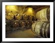 Aging Of Armagnac In Gascony Oak Barrels, Aquitania, France by Michele Molinari Limited Edition Print