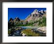 Mt. Huber On Right And Wiwaxy Peaks In Lake O'hara Area, British Columbia, Canada by Witold Skrypczak Limited Edition Print