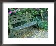 Park Benches In Town Square, Savannah, Georgia, Usa by Julie Eggers Limited Edition Print