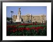 Buckingham Palace, London, England, United Kingdom by Adam Woolfitt Limited Edition Print