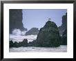 A Gull Sits On A Rock At Cannon Beach by Phil Schermeister Limited Edition Print