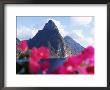 Pitons Volcanic Mountains, With Bougainvillea Flowers In Foreground, St. Lucia, West Indies by Yadid Levy Limited Edition Print