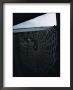 A Bedewed Spider Web In A Dark Shed by James L. Stanfield Limited Edition Print