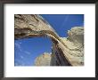 White Mesa Arch, Arizona by David Edwards Limited Edition Pricing Art Print