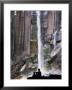 People Gaze At Vernal Falls As It Cascades Down A Granite Rock Face, Yosemite, California, Usa by Rob Blakers Limited Edition Print