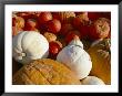 A Pile Of Pumpkins Of Different Colors by Marc Moritsch Limited Edition Print
