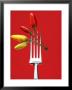 Four Chili Peppers On A Fork by Marc O. Finley Limited Edition Print