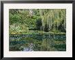 Claude Monet's Garden Pond In Giverny, France by Charles Sleicher Limited Edition Print