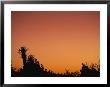 A Desert Sunset Turns The Sky Orange by Stephen Alvarez Limited Edition Print