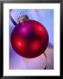 Red Christmas Ornament by Eric Kamp Limited Edition Pricing Art Print