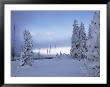 West Thumb Geyser Basin With Yellowstone Lake In The Background by Raymond Gehman Limited Edition Print