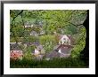 Village Of Sabile, Kurzeme Region, Latvia by Janis Miglavs Limited Edition Print