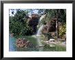 Bird Lagoon, Metrozoo, Miami, Fl by Mark Gibson Limited Edition Print