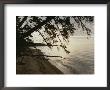 A View Of The Shoreline In The Apostle Islands by Raymond Gehman Limited Edition Print