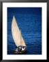 Traditional Dhow Leaving Port, Lamu, Coast, Kenya by Ariadne Van Zandbergen Limited Edition Pricing Art Print