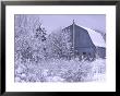 Blue Barn, Rochester Hills, Michigan, Usa by Claudia Adams Limited Edition Print