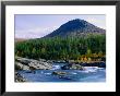 Sjoa River Flowing Past Forest At Foot Of Sjolikampen Hill, Norway by Anders Blomqvist Limited Edition Print