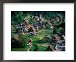 Thatched Gassho-Zukuri Houses In Shirakawa-Go Gassho-No-Sato Village, Ogimachi, Japan by Martin Moos Limited Edition Print