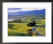 Kaikoura Peninsular, South Island, New Zealand by Doug Pearson Limited Edition Print