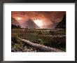 Milford Sound, Fiordland, South Island, New Zealand by Doug Pearson Limited Edition Print