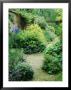 Walled Garden, Winding Path Through Herbaceous Border by Lynn Keddie Limited Edition Print