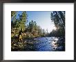 Fly-Fishing The Jocko River, Montana, Usa by Chuck Haney Limited Edition Print