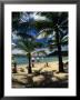 Beach At Catseye Bay On The Great Barrier Reef,Hamilton Island, Queensland, Australia by Richard I'anson Limited Edition Print