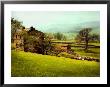 In The Yorkshire Dales by Jody Miller Limited Edition Print