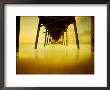 Pier Over Golden Sand And Water by Jan Lakey Limited Edition Print