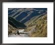 Shepherd Herding Flock Of Sheep Through Mountain Pass, Glenorchy, South Island, New Zealand by D H Webster Limited Edition Print