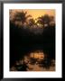 Foggy Pond Sunrise, Usa by Stan Osolinski Limited Edition Print