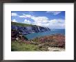 Isle Of Wight, Summer by Harold Taylor Limited Edition Pricing Art Print