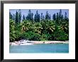 Bay Of Kanumera, Ile Des Pins, New Caledonia by Peter Hendrie Limited Edition Print
