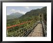 Suspension Bridge Over Valley, Taiwan Aboriginal Culture Park, Pingtung County, Taiwan by Christian Kober Limited Edition Print