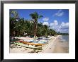Beach With Palm Trees And Kayaks, Punta Soliman, Mayan Riviera, Yucatan Peninsula, Mexico by Nelly Boyd Limited Edition Print