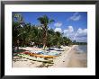 Beach With Palm Trees And Kayaks, Punta Soliman, Mayan Riviera, Yucatan Peninsula, Mexico by Nelly Boyd Limited Edition Pricing Art Print