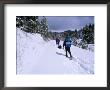 Winter Hiking In The Tushar Mountains, Capitol Reef National Park, Utah, Usa by Cheyenne Rouse Limited Edition Print