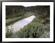 Prickly Pear Cactus Above The Rio Grande River Near Boquillas Canyon, Tx by Willard Clay Limited Edition Print