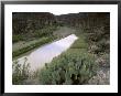 Prickly Pear Cactus Above The Rio Grande River Near Boquillas Canyon, Tx by Willard Clay Limited Edition Pricing Art Print