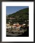 Camara De Lobos, Madeira, Portugal by G Richardson Limited Edition Print