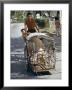Man Transporting His Pig On A Tricycle, Langkawi Island, Malaysia, Southeast Asia by Claire Leimbach Limited Edition Print