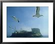 Alcatraz Prison, California, Usa by John Downer Limited Edition Print